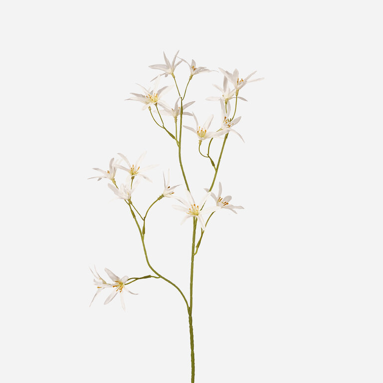 Kunststeel Tweedia met witte zijden bloemen is een kunststeel met een natuurgetrouwe uitstraling en een lengte van 70 cm.