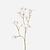 FloraWorks Kunstbloem Tweedia wit (70 cm)