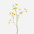 FloraWorks Kunstbloem Tweedia groen (70 cm)