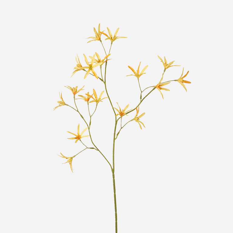 Kunststeel Tweedia met gele zijden bloemen is een kunststeel met een natuurgetrouwe uitstraling en een lengte van 70 cm.