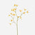 FloraWorks Kunstbloem Tweedia geel (70 cm)