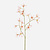 FloraWorks Kunstbloem Tweedia lichtroze (70 cm)