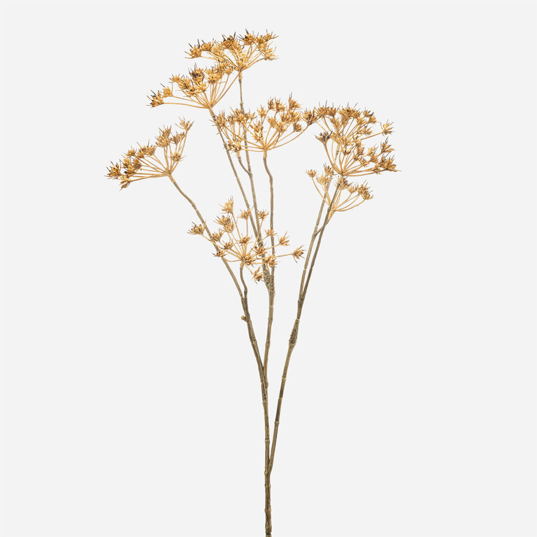 Kunststeel Heracleum met beige schermen en zaden is een kunststeel met een natuurgetrouwe uitstraling en een lengte van 75 cm.
