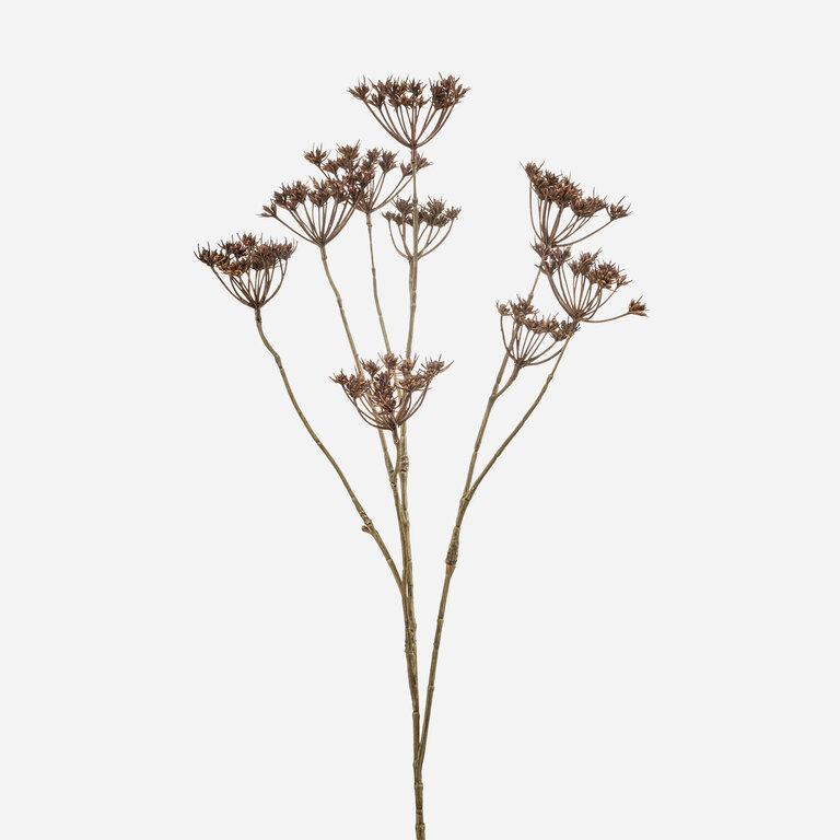 Kunststeel Heracleum met bruine schermen en zaden is een kunststeel met een natuurgetrouwe uitstraling en een lengte van 75 cm.