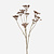 FloraWorks Kunstbloem Heracleum bruin (75 cm)