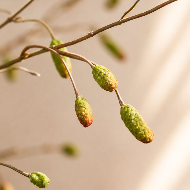 Kunstboeket Terra Sage is een luchtig en sereen boeket met groene sanguisorba takken.