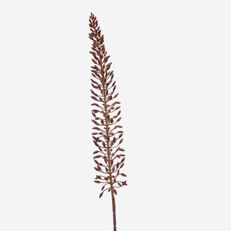 Kunststeel Eremurus met paarse bloemknoppen is een kunststeel met een natuurgetrouwe uitstraling en een lengte van 105 cm.
