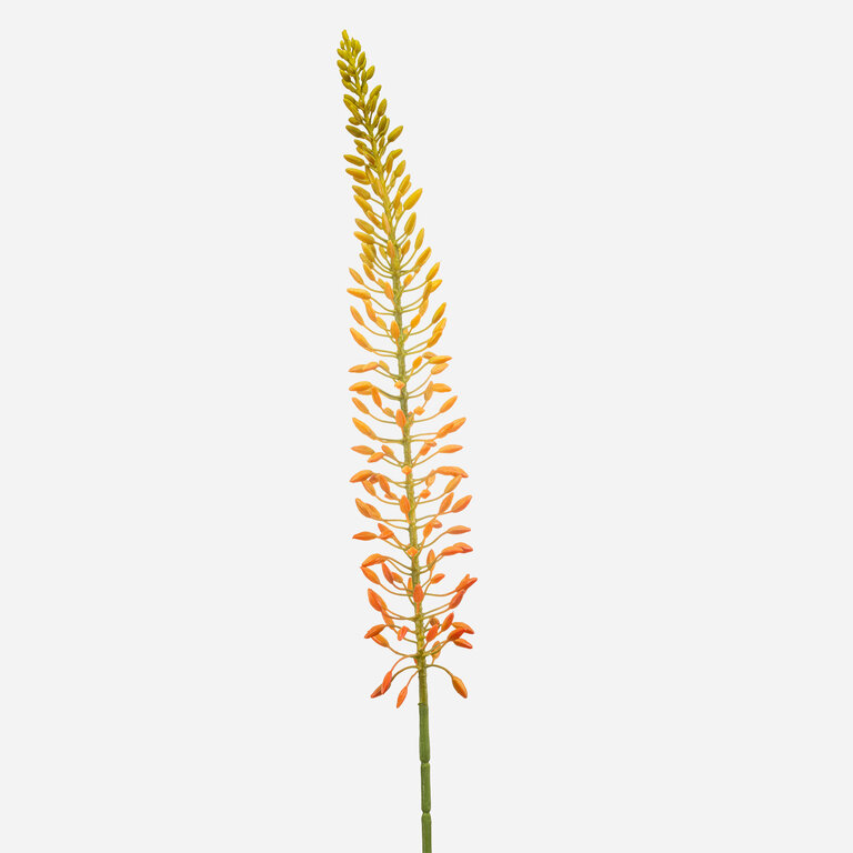 Kunststeel Eremurus met oranje bloemknoppen is een kunststeel met een natuurgetrouwe uitstraling en een lengte van 105 cm.