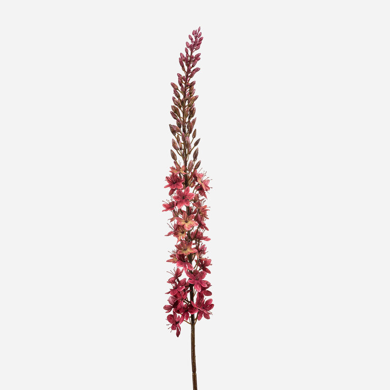 Kunststeel Eremurus met donkerroze zijden bloemen is een kunststeel met een natuurgetrouwe uitstraling en een lengte van 109 cm.