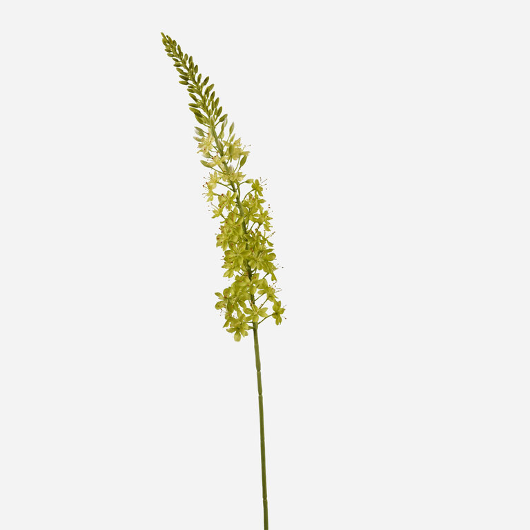 Kunststeel Eremurus met groene zijden bloemen is een kunststeel met een natuurgetrouwe uitstraling en een lengte van 105 cm.