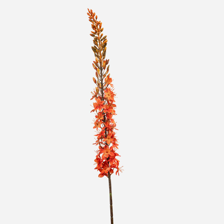 Kunststeel Eremurus met oranje zijden bloemen is een kunststeel met een natuurgetrouwe uitstraling en een lengte van 109 cm.