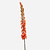 FloraWorks Kunstbloem Eremurus oranje (109 cm)