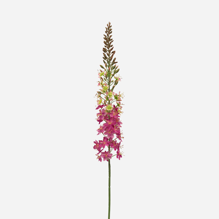 Kunststeel Eremurus met roze zijden bloemen is een kunststeel met een natuurgetrouwe uitstraling en een lengte van 105 cm.