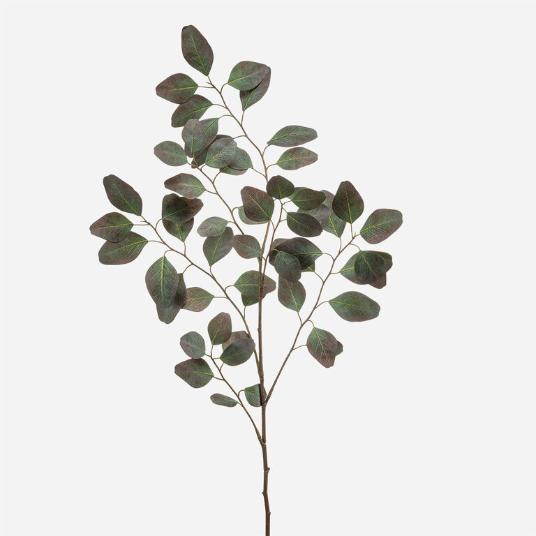 Kunsttak Eucalyptus met groenpaarse bladeren is een kunststeel met een natuurgetrouwe uitstraling en een lengte van 100 cm.