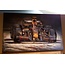 3D Metaal Schilderij Formule 1 Max Verstappen