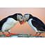 MondiArt Schilderij | Verliefde vogels | div. afmetingen