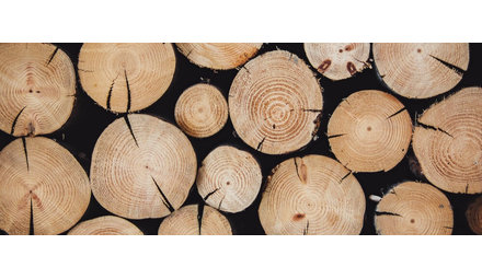 Oak furniture