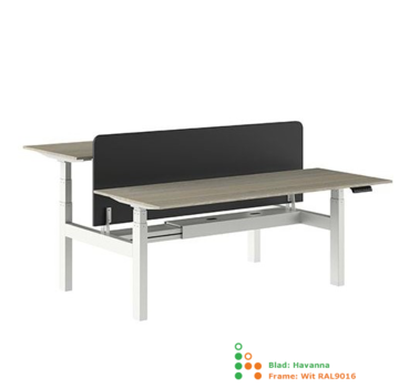 Ergonice Office Ergonomics Ergo-Duo-Pro (oud model)