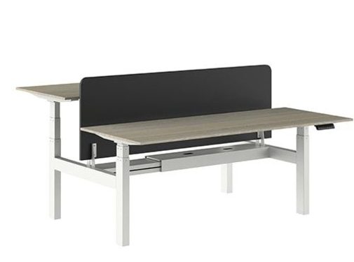 Ergonice Office Ergonomics Ergo-Duo-Pro (oud model)