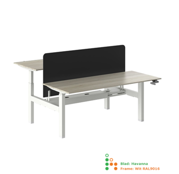 Ergonice Office Ergonomics Ergo-Duo-Move 88 Duobureau