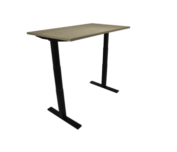 Ergonice Office Ergonomics Ergo-Pro (oud model)