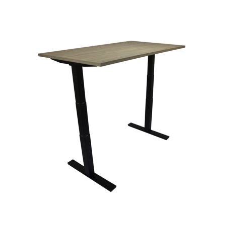 Ergonice Office Ergonomics Ergo-Pro (oud model)