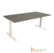 Ergonice Office Ergonomics Ergo-Rise (oud model)