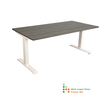 Ergonice Office Ergonomics Ergo-Rise (oud model)