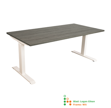 Ergonice Office Ergonomics Ergo-Rise (oud model)