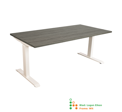 Ergonice Office Ergonomics Ergo-Rise (oud model)