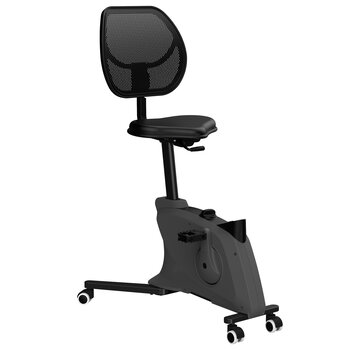 SZ Rosa Zwart Desk Bike Met Rugleuning