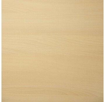 Bureaublad Licht Beuken