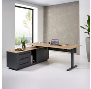 Pro-Executive Zit-Sta Directiebureau
