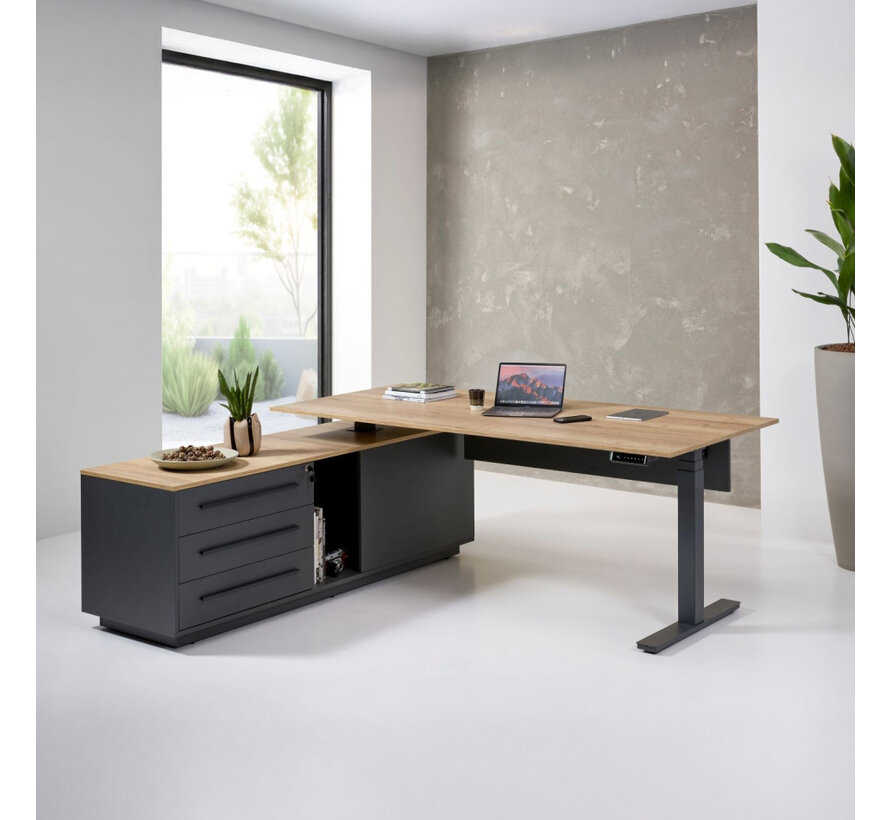 Pro-Executive Zit-Sta Directiebureau
