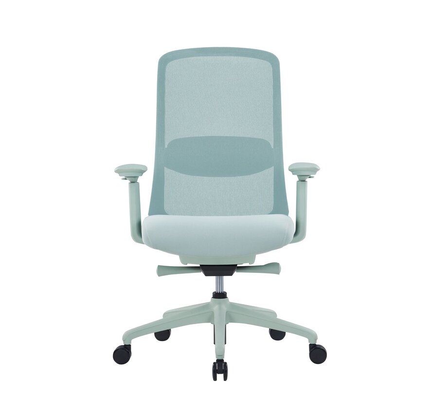 Ergofy Comfort Bureaustoel