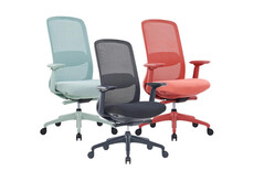 Ergofy Comfort: betaalbare ergonomie bureaustoel met een frisse uitstraling.