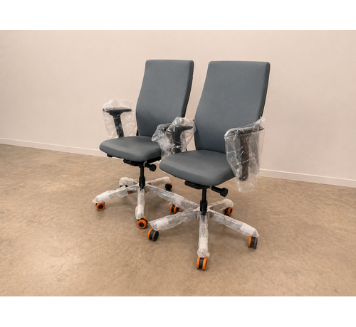 Interstuhl Outlet: Grijze LX114 bureaustoel 2 stuks