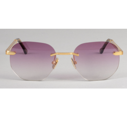 IRON Paris zonnebrillen Iron IRS46-002 gouden unisex zonnebril