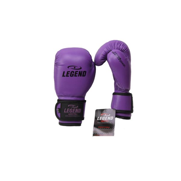 Kids Boxing Gloves 4-8 years Purple 4oz/6oz PU