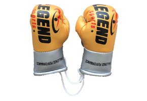 Legend Mini Boxing Gloves
