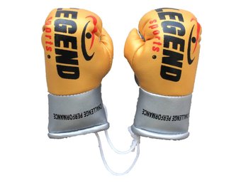 Legend Mini Bokshandschoenen