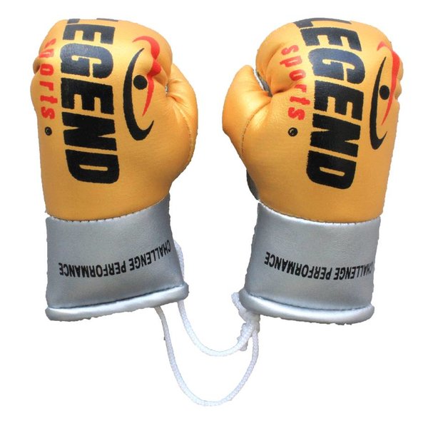 Legend Mini Boxing Gloves