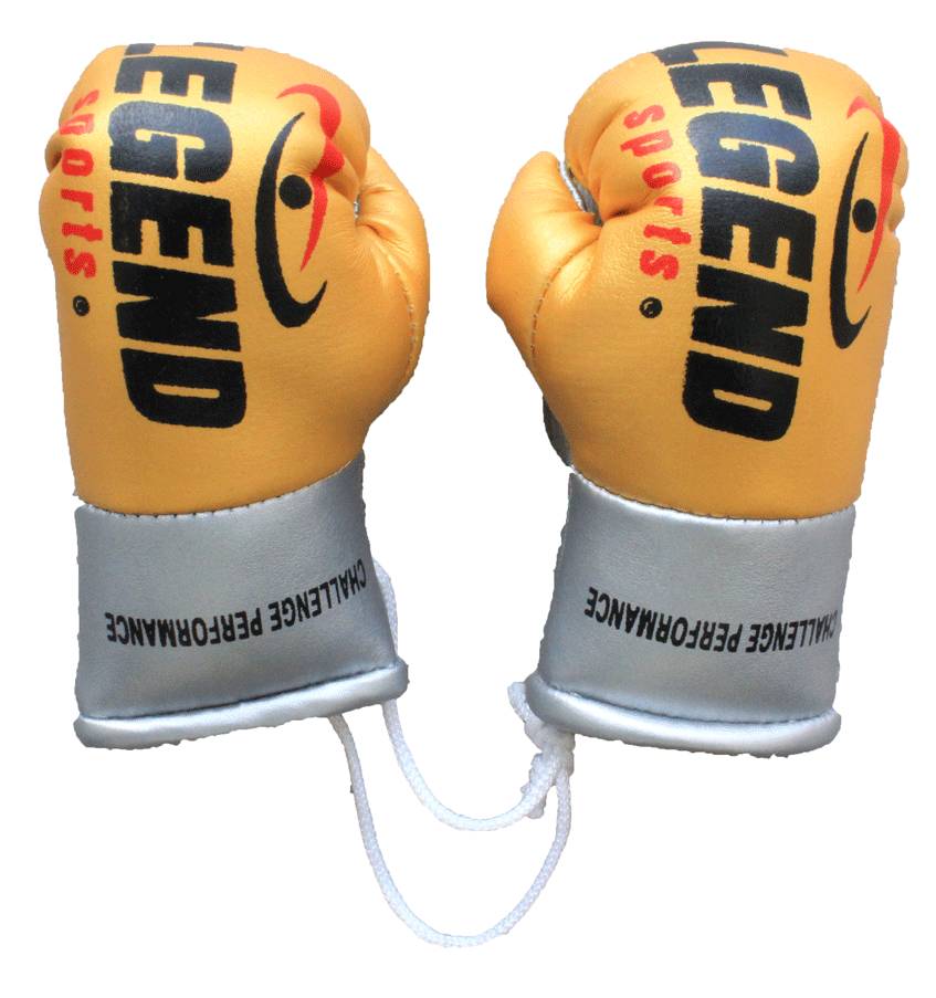 Legend Mini Boxing Gloves