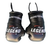 Legend Mini Boxing Gloves