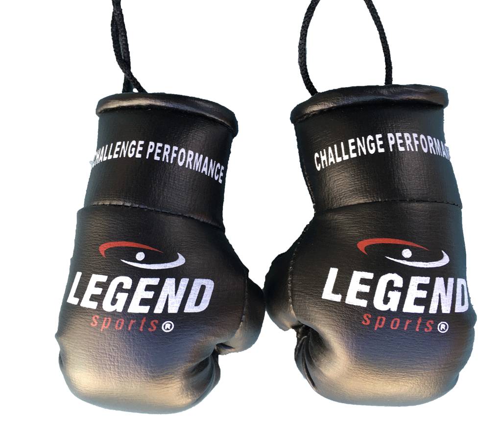 Legend Mini Boxing Gloves