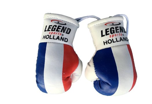 Legend Mini Bokshandschoenen