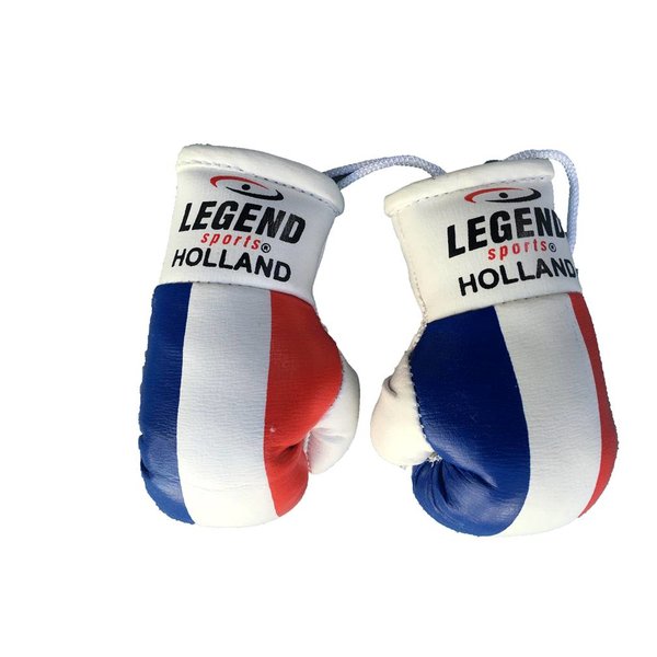 Legend Mini Boxing Gloves