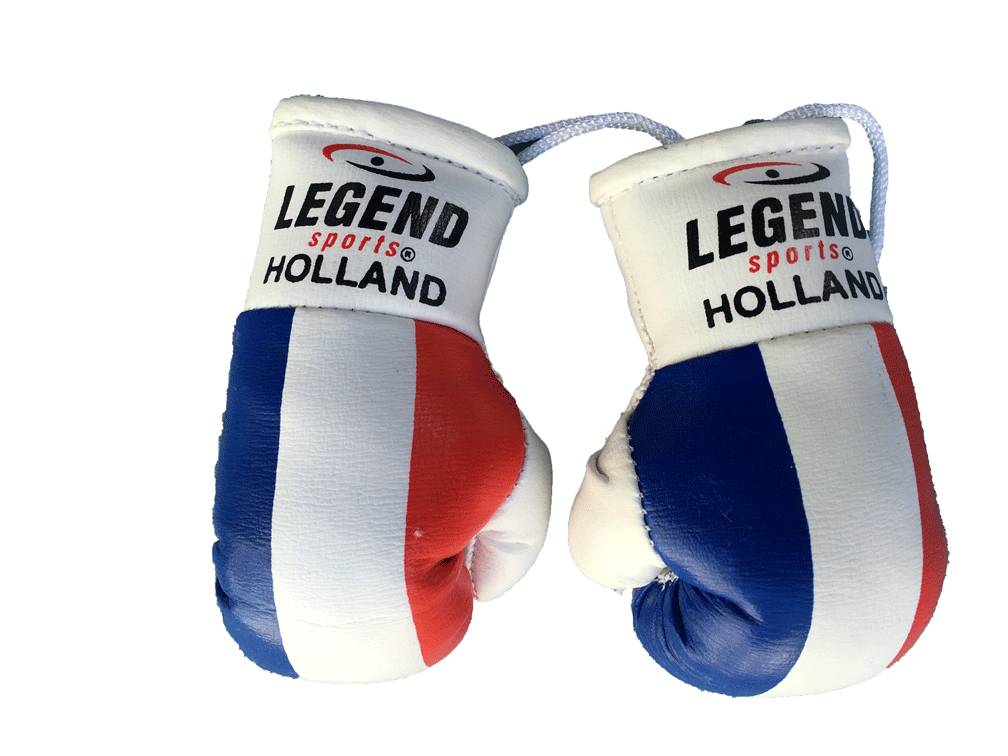 Legend Mini Boxing Gloves
