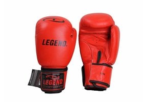 Kids Boxing Gloves Red 6oz Leather