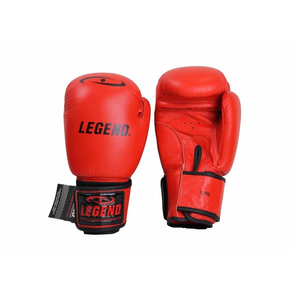 Kids Boxing Gloves Red 6oz Leather